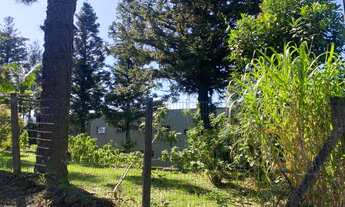 Imagem 2: TERRENO RESIDENCIAL em NOVA PETRÓPOLIS - RS, Juriti