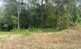 Imagem: TERRENO RESIDENCIAL em Picada Café - RS