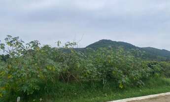 Imagem 2: TERRENO RESIDENCIAL em Picada Café - RS, Joaneta