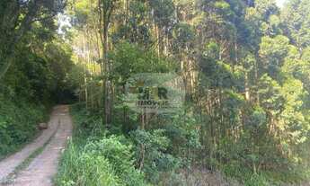 Imagem: AREA RURAL em NOVA PETRÓPOLIS - RS, Nove