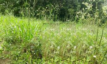 Imagem 2: TERRENO RESIDENCIAL em Picada Café - RS, Joaneta