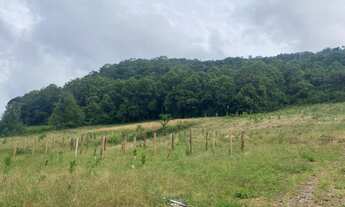 Imagem: AREA RURAL em NOVA PETRÓPOLIS - RS, Linha