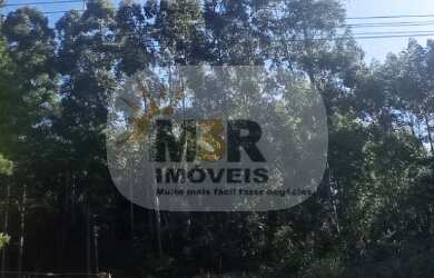 Imagem 2: TERRENO RESIDENCIAL em NOVA PETRÓPOLIS - RS, Morro Korb