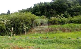 Imagem: TERRENO RESIDENCIAL em NOVA PETRÓPOLIS