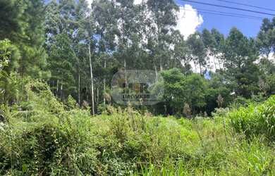 Imagem 3: TERRENO RESIDENCIAL em NOVA PETRÓPOLIS - RS, Morro Korb