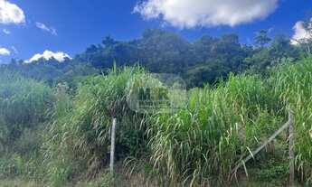 Imagem: TERRENO RESIDENCIAL em NOVA PETRÓPOLIS