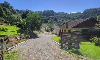 Imagem: SITIO RURAL em NOVA PETRÓPOLIS - RS, Pinhal