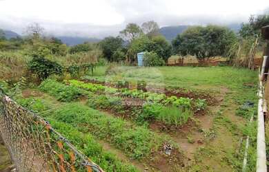Imagem 7: SITIO RURAL em NOVA PETRÓPOLIS - RS, São José do Caí