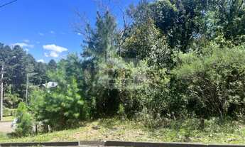 Imagem 2: TERRENO RESIDENCIAL em NOVA PETRÓPOLIS - RS, Linha Imperial