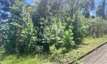 Imagem: TERRENO RESIDENCIAL em NOVA PETRÓPOLIS
