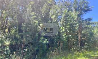 Imagem 3: TERRENO RESIDENCIAL em NOVA PETRÓPOLIS - RS, Linha Imperial