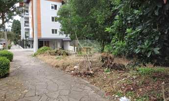 Imagem 6: TERRENO RESIDENCIAL em NOVA PETRÓPOLIS - RS, Logradouro