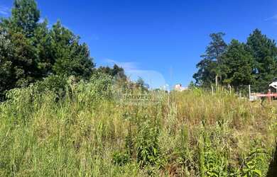 Imagem 2: TERRENO RESIDENCIAL em NOVA PETRÓPOLIS - RS, Germânia