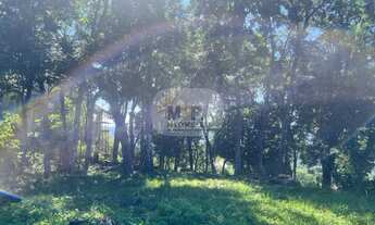 Imagem 4: TERRENO RESIDENCIAL em NOVA PETRÓPOLIS - RS, Pinhal Alto