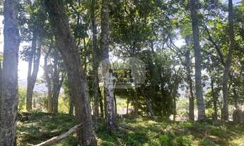 Imagem 5: TERRENO RESIDENCIAL em NOVA PETRÓPOLIS - RS, Pinhal Alto