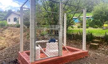 Imagem 6: SITIO RURAL em NOVA PETRÓPOLIS - RS, Linha Olinda