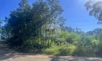 Imagem: AREA RURAL em NOVA PETRÓPOLIS - RS, Stille