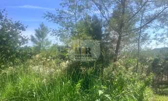 Imagem: TERRENO RESIDENCIAL em NOVA PETRÓPOLIS