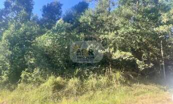 Imagem 3: AREA RURAL em NOVA PETRÓPOLIS - RS, Stille Eck