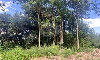 Imagem 1: TERRENO RESIDENCIAL em NOVA PETRÓPOLIS - RS, Pousada da Neve