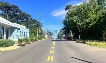 Imagem 5: TERRENO RESIDENCIAL em NOVA PETRÓPOLIS - RS, Germânia