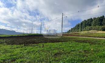 Imagem 4: TERRENO RESIDENCIAL em NOVA PETRÓPOLIS - RS, Pinhal Alto
