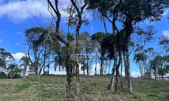 Imagem: TERRENO RESIDENCIAL em NOVA PETRÓPOLIS