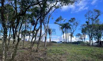 Imagem: TERRENO RESIDENCIAL em NOVA PETRÓPOLIS