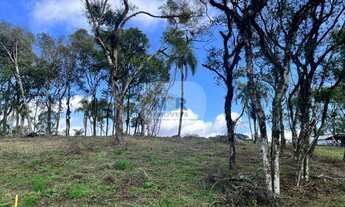 Imagem: TERRENO RESIDENCIAL em NOVA PETRÓPOLIS
