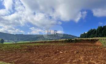Imagem 3: TERRENO RESIDENCIAL em NOVA PETRÓPOLIS - RS, Pinhal Alto