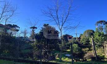 Imagem: TERRENO RESIDENCIAL em NOVA PETRÓPOLIS