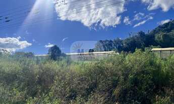 Imagem: TERRENO RESIDENCIAL em NOVA PETRÓPOLIS