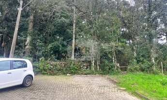 Imagem 4: TERRENO RESIDENCIAL em NOVA PETRÓPOLIS - RS, Piá