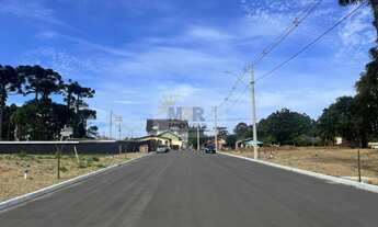 Imagem 3: TERRENO RESIDENCIAL em NOVA PETRÓPOLIS - RS, Logradouro