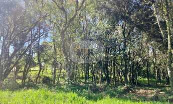 Imagem 2: AREA RURAL em NOVA PETRÓPOLIS - RS, Nove Colônias