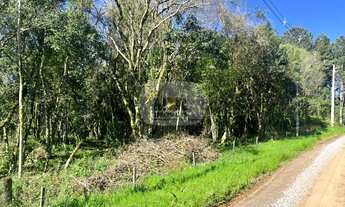 Imagem: AREA RURAL em NOVA PETRÓPOLIS - RS, Nove