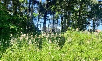 Imagem 3: TERRENO RESIDENCIAL em NOVA PETRÓPOLIS - RS, Juriti