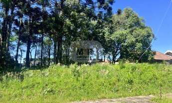 Imagem: TERRENO RESIDENCIAL em NOVA PETRÓPOLIS
