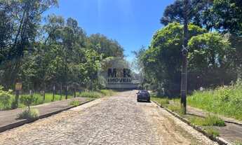 Imagem 4: TERRENO RESIDENCIAL em NOVA PETRÓPOLIS - RS, Juriti