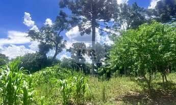 Imagem: TERRENO RESIDENCIAL em NOVA PETRÓPOLIS