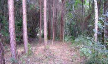 Imagem: AREA RURAL em Nova Petrópolis - RS, Vale