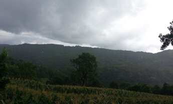 Imagem: AREA RURAL em Gramado - RS, Linha Bonita