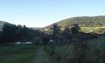 Imagem: SITIO RURAL em Nova Petrópolis - RS, Linha