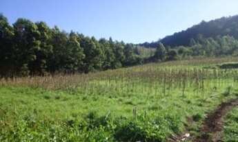 Imagem 5: AREA RURAL em Linha Nova - RS, Linha Nova