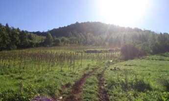 Imagem 6: AREA RURAL em Linha Nova - RS, Linha Nova