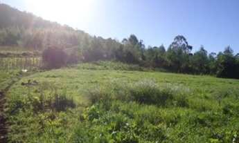 Imagem 7: AREA RURAL em Linha Nova - RS, Linha Nova