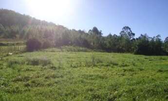 Imagem: AREA RURAL em Linha Nova - RS, Linha Nova