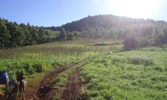 Imagem 2: AREA RURAL em Linha Nova - RS, Linha Nova