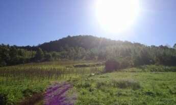 Imagem 3: AREA RURAL em Linha Nova - RS, Linha Nova