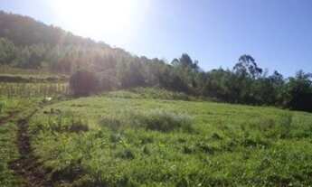 Imagem 4: AREA RURAL em Linha Nova - RS, Linha Nova